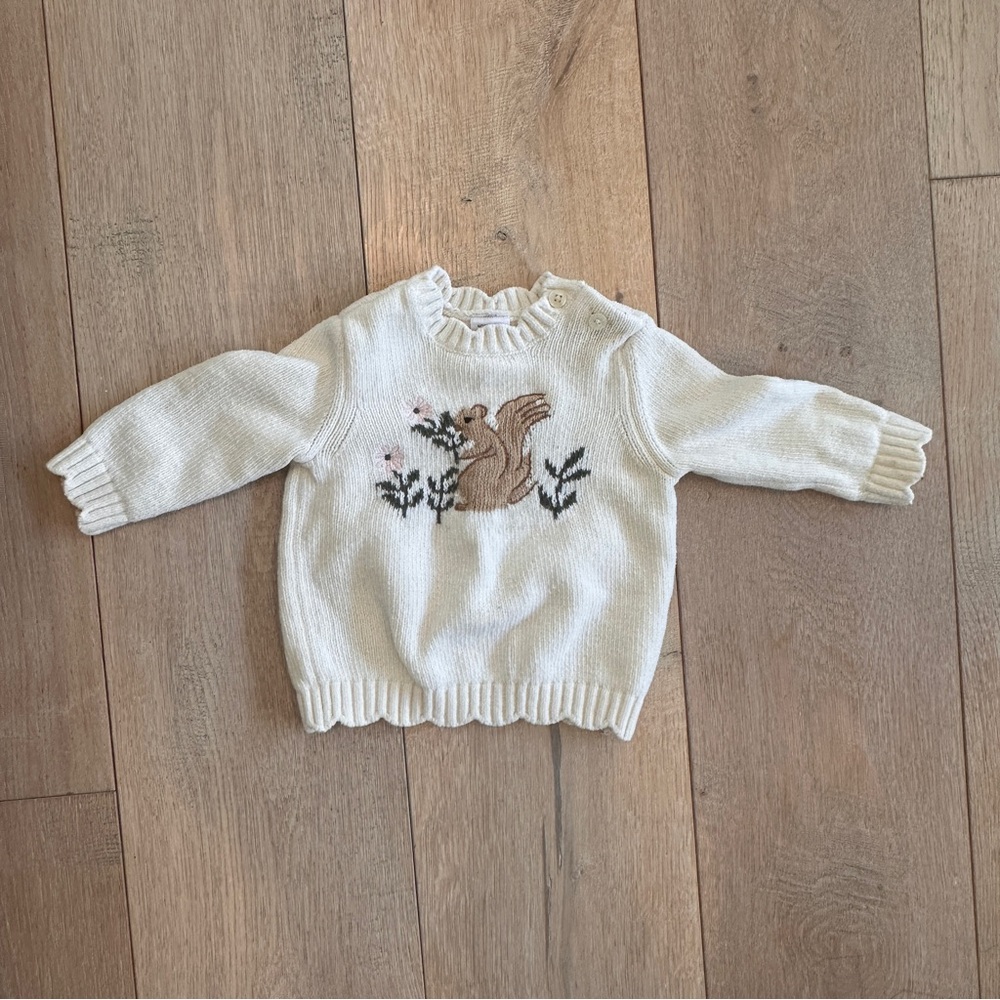 Nordstrom Ivory Squirrel Knit Sweater